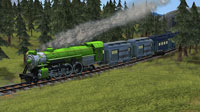 Une très belle locomotive 2-8-2 de type 141 roule à toute vapeur au travers d’une forêt de pins.