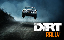 Stir up a storm in DiRT Rally for Linux