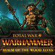 Entre no Reino dos Elfos da Floresta — um novo DLC lançado para Total War: WARHAMMER para Linux