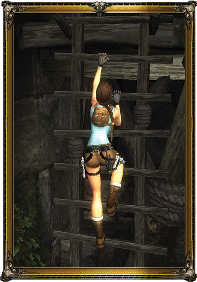ladder